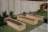 Pictures of Raised Garden Bed Fence Pickets