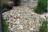 Rocks Yard Landscaping Pictures