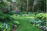 Pictures of Best Landscape Plants For Full Sun