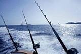 Outta Control Fishing Charters Pictures