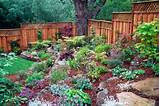 Photos of Landscaping Rock Hill