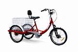 Electric Trike Bicycle