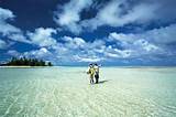 Fly Fishing Resorts Maldives Pictures