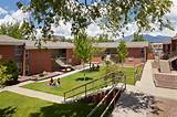 University Of Arizona Housing Options Images