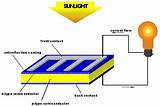 N Type Solar Cell Images