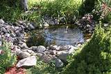 Photos of Pond Landscaping Rocks