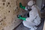 Licensed Mold Remediation Contractor Images