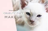 List Of Animal Cruelty Free Makeup Brands Pictures