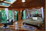 Images of The Treehouse Boutique Hotel