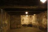 Photos of How Did The Gas Chambers Work In The Holocaust
