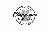 Polk County Animal Control Phone Number Images