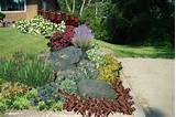 Yard Rock Landscaping Pictures