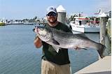 Indian River Inlet Fishing Charters Pictures