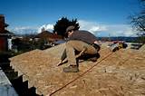 Osb Roofing Photos