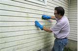 Chemicals To Remove Algae From Vinyl Siding Pictures