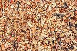 Photos of Mulch Chips Wood