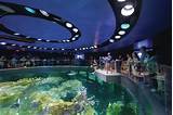 Photos of Boston Fish Aquarium