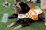Pictures of Tn Vols Ranking