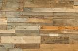 Pictures of Free Wood Texture Backgrounds