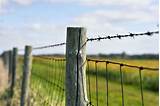 Types Of Farm Fencing Styles Pictures