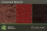 Photos of Mulch Vs Wood Chips