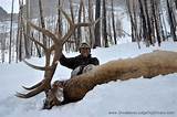 Elk Hunting Outfitters Wyoming Photos