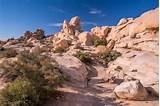 Photos of Joshua Tree National Park Camping Reservations
