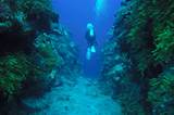 Photos of Grand Cayman Dive Vacation Packages