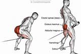 Pulled Calf Muscle Exercises
