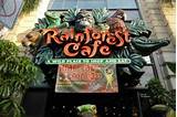 Rainforest Cafe Reservations San Francisco Images