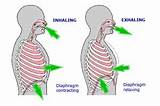 Pictures of Lymphatic Breathing Exercises