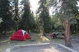 Denali Park Camping