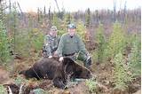 Alaska Bear Hunting Outfitters Photos