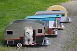 Camping Beds For Dogs Images