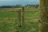 Electric Fence For Goats High Tensile Photos
