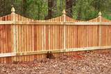 Unique Wood Fencing Pictures