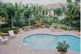 Pictures of Florida Pool Landscaping Ideas