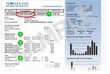 Peoples Gas Bill Pictures
