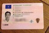 What Can Someone Do With My Drivers License Information Images