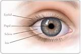Images of Lasik Eye Surgery Indications
