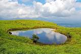 Wayanad Tour Packages From Chennai Images