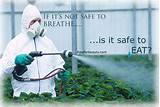 Quotes About Pesticides Pictures