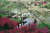 Japanese Garden Landscaping Pictures Images