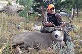 Wyoming Hunting Outfitters List Photos