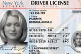 Dmv Lost License Ny Images