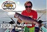Sockeye Salmon Fishing Tips Images