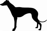 Greyhound Stickers Images