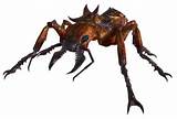 Fallout 3 Fire Ants Photos