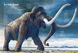 Ice Age Animals Facts Images