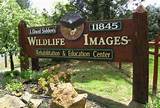 Photos of Wildlife Rehabilitation Center Pa